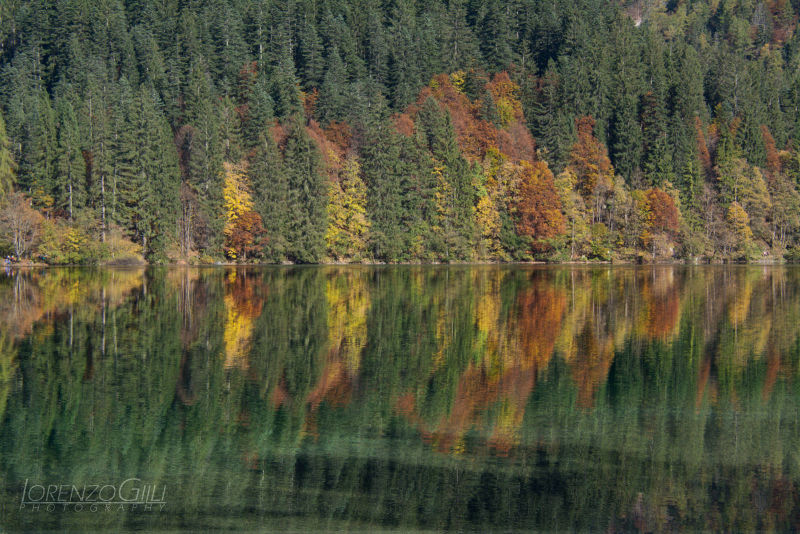Paesaggio lacustre